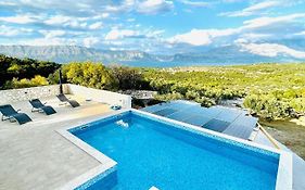 Olive Paradise